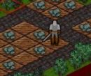 Hrat hru online a zdarma: Protector