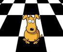 Hrat hru online a zdarma: Puppy curling