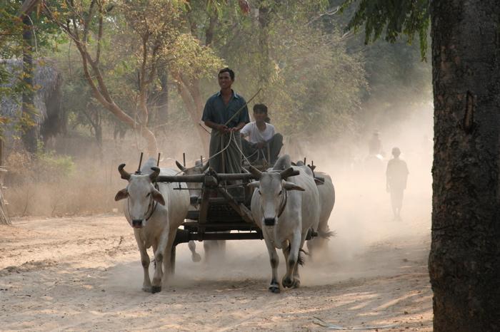 Foto: Barma-Bagan