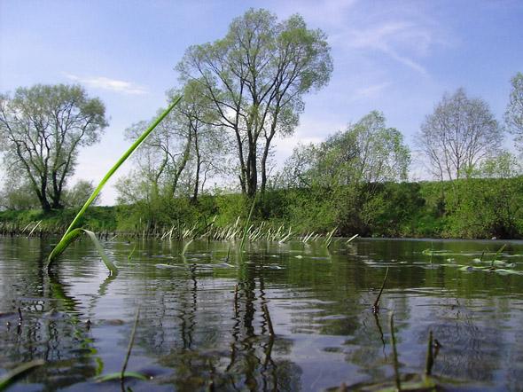 Foto: B�lorusko-Orsha