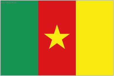 Foto: Kamerun-st�tn� vlajka