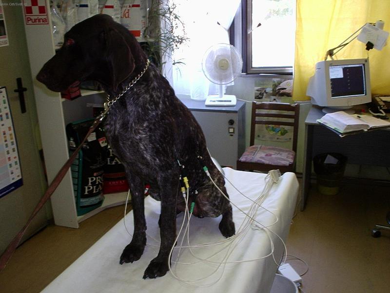 Foto: Kardiologie