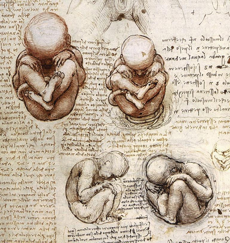 Foto: Leonardo da Vinci