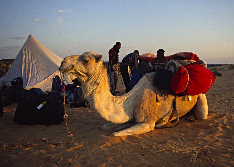 Foto: Mauret�nie-Adrar