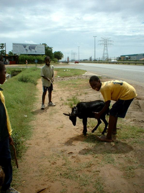 Foto: Mosambik-Maputo