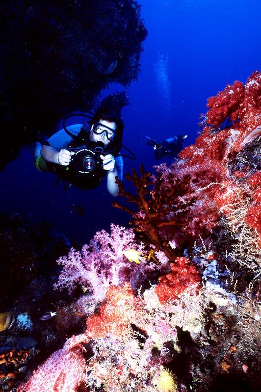 Fotky: Papua-Nov� Guinea (foto, obrazky)