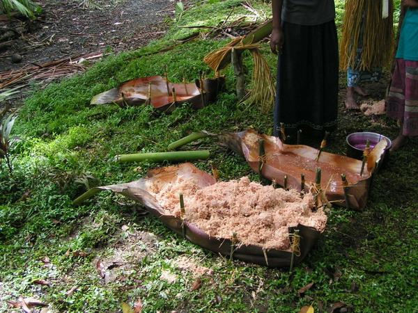 Fotky: Papua-Nov� Guinea (foto, obrazky)