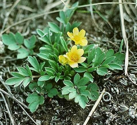 Foto: Prysky�n�k