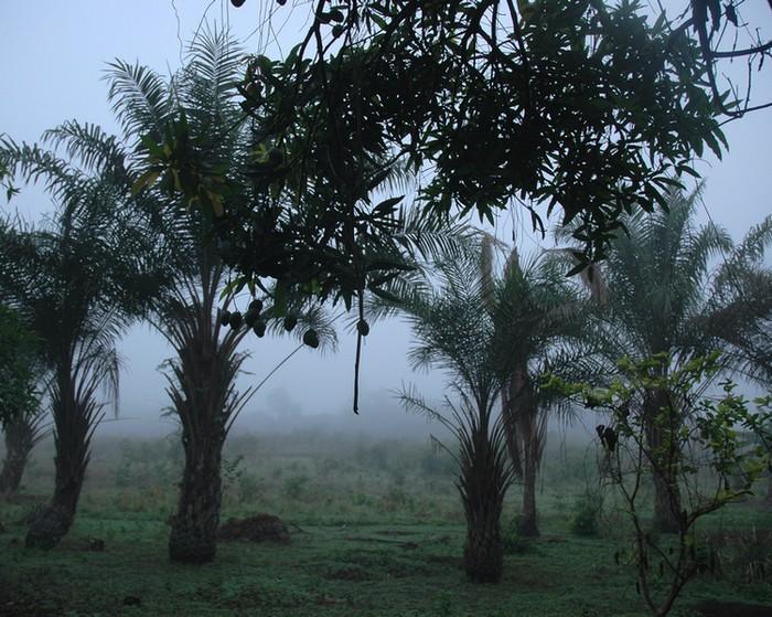 Foto: Sierra Leone-Mombali