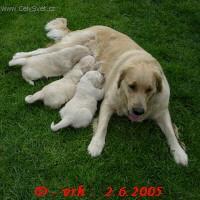 Fotky: �t�n� a v�e o n�m (foto, obrazky)