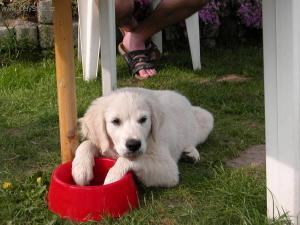 Fotky: �t�n� a v�e o n�m (foto, obrazky)