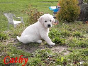 Fotky: �t�n� a v�e o n�m (foto, obrazky)