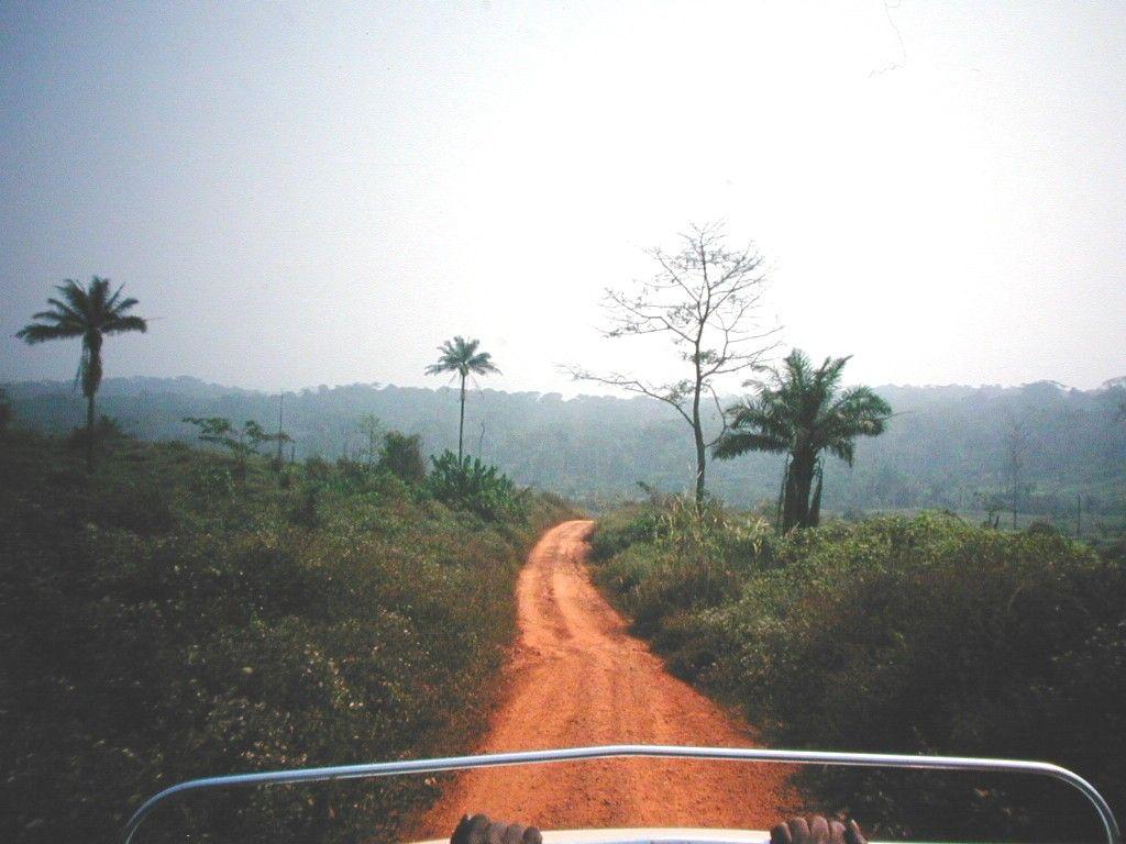 Fotky: St�edoafrick� republika (foto, obrazky)
