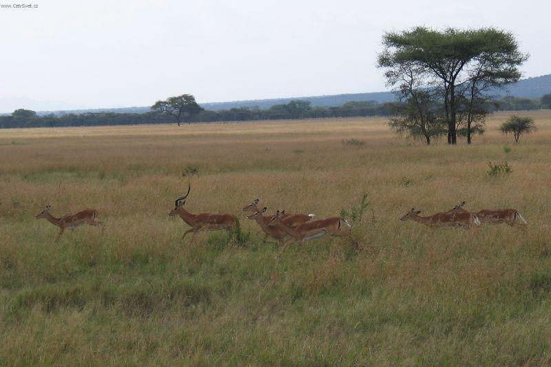 Foto: Tanzanie