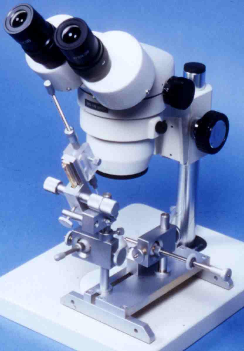 Foto: Um�l� inseminace