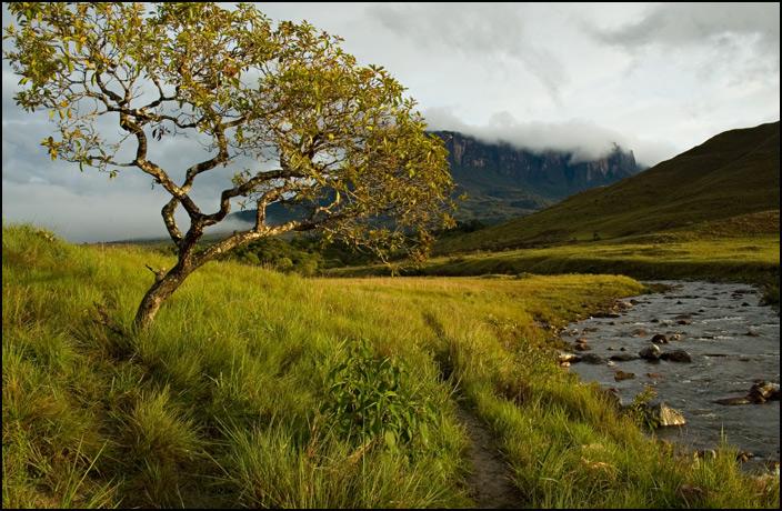 Foto: Venezuela-Bolivar