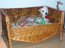 Americk� pitbull teri�r