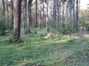 Zem�pis sv�ta:  > �esk� republika