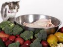 :  > Doporu�en� dieta p�i n�kter�ch org�nov�ch onemocn�n�ch (JATERN� NEDOSTATE�NOST, REN�LN� DIETA, HYPOALERGENN� DIETA, DIETA P�I CUKROVCE)