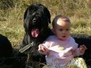 Kn�ra� velk�