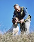 :  > Navarrsk� oha� (Navarro Pointer, Old Spanish Pointer)