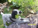 N�meck� dr�tosrst� oha�