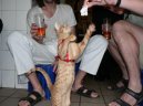 Fotky: Orient�ln� kratkosrst� ko�ka (foto, obrazky)