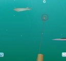 :  > Shooting fish (sportovn� free flash hra on-line)