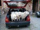 Fotky: Slovensk� �uva� (foto, obrazky)