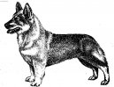 �v�dsk� valhaund