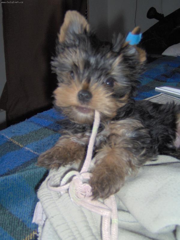 Foto: Charlie