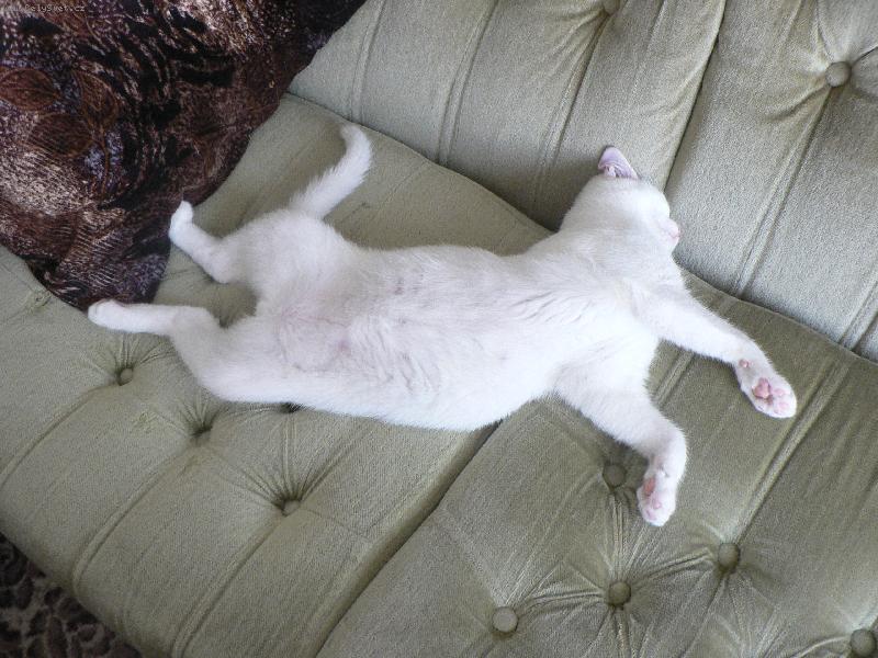 Foto: Mike�
