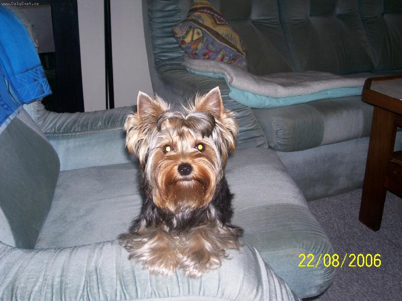 Foto: Bessy