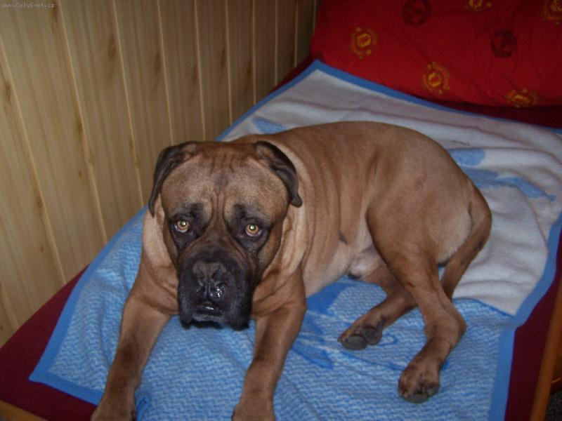 Foto: Max