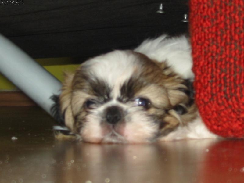 Foto: lucky