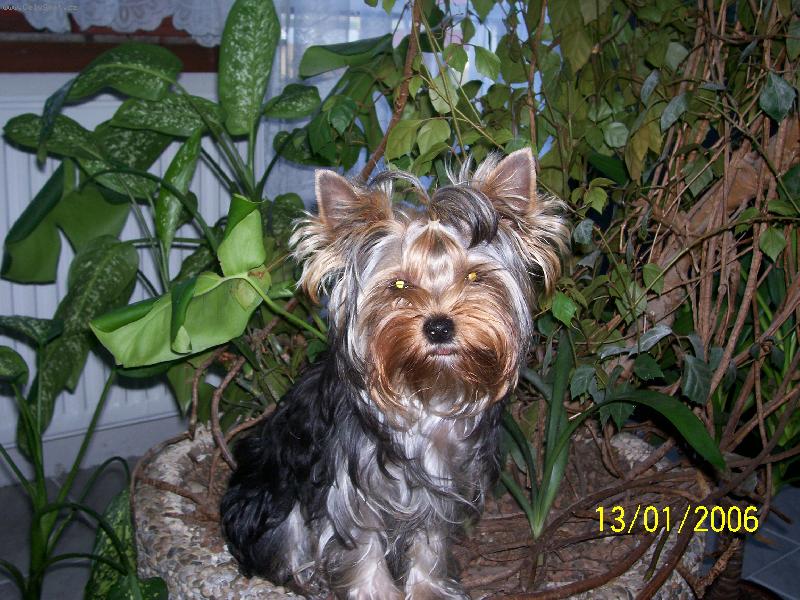 Foto: Bessy