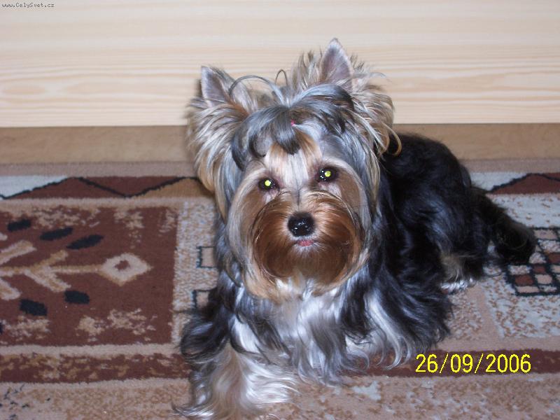 Foto: Bessy