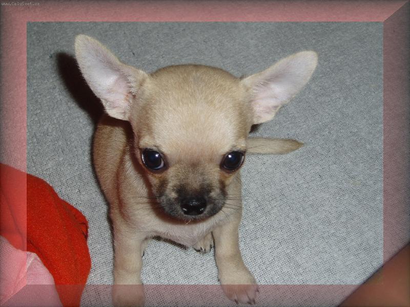 Foto: Sammy
