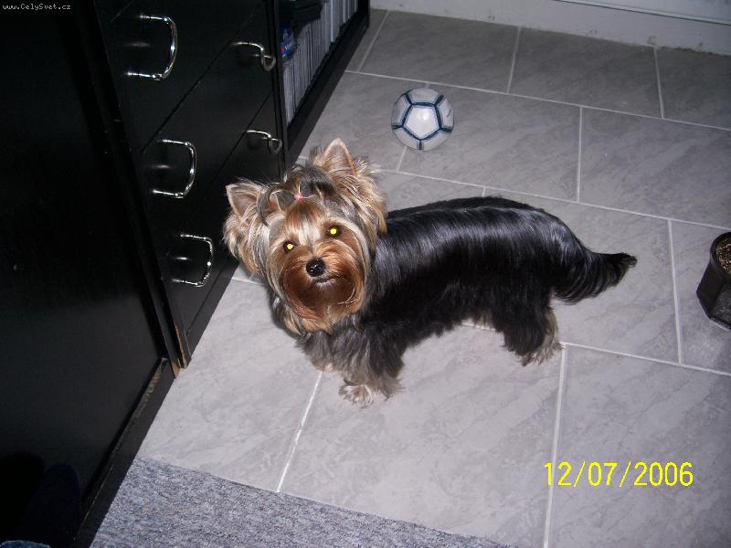 Foto: Bessy