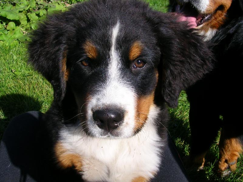 Foto: Max a Sam