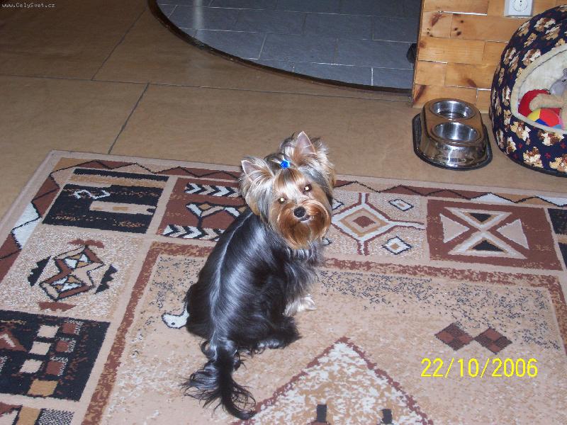 Foto: Bessy