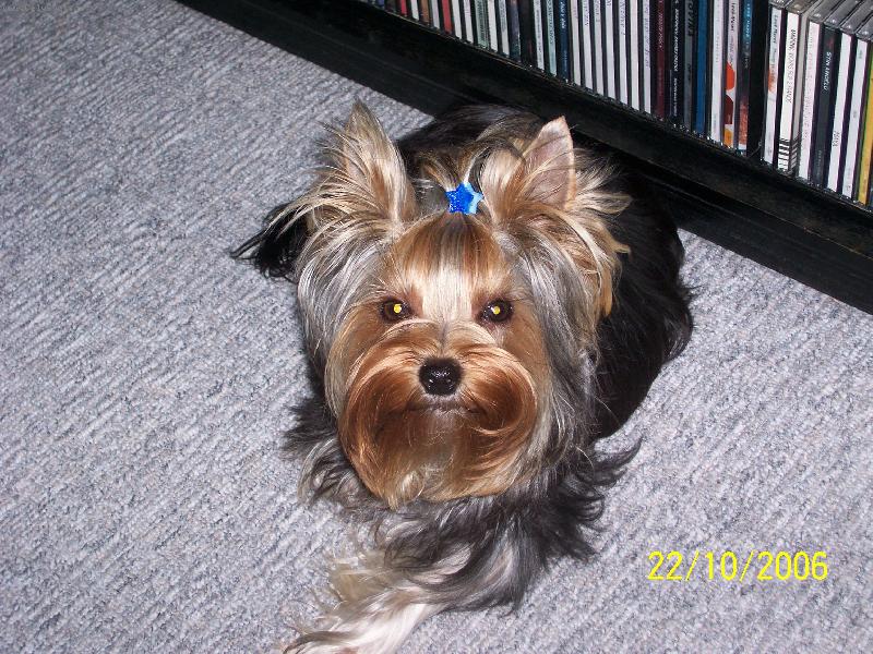 Foto: Bessy