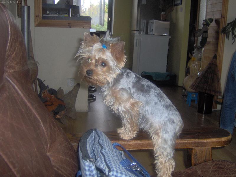 Foto: Magie
