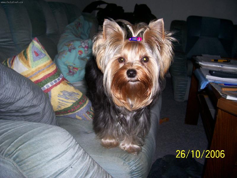 Foto: Bessy