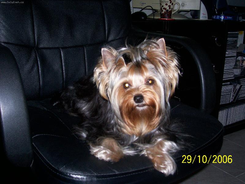 Foto: Bessy
