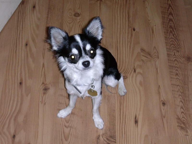 Foto: Urysek