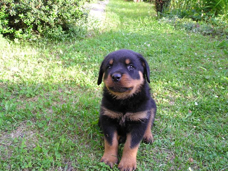 Foto: miminko