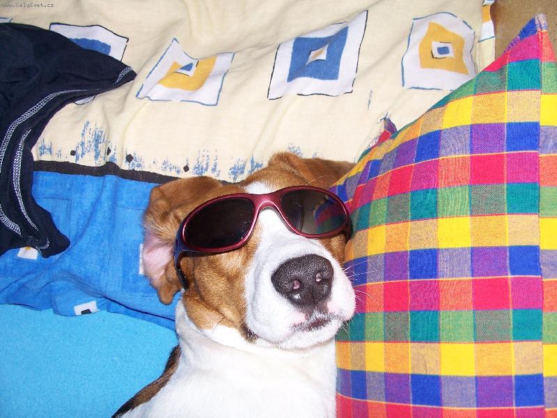 Foto: drsn�k ozzy