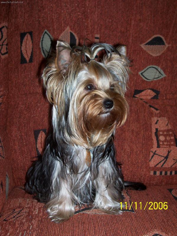 Foto: Bessy
