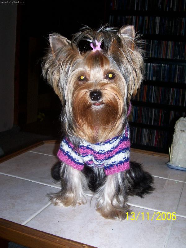 Foto: Bessy